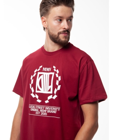 T-SHIRT DIIL LAUR BORDOWY DTS1351