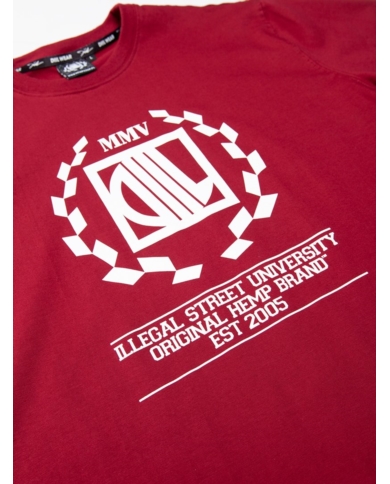 T-SHIRT DIIL LAUR BORDOWY DTS1351